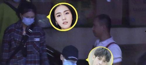 爆料白鹿的情史视频,一段段纠葛背后的爱情轨迹